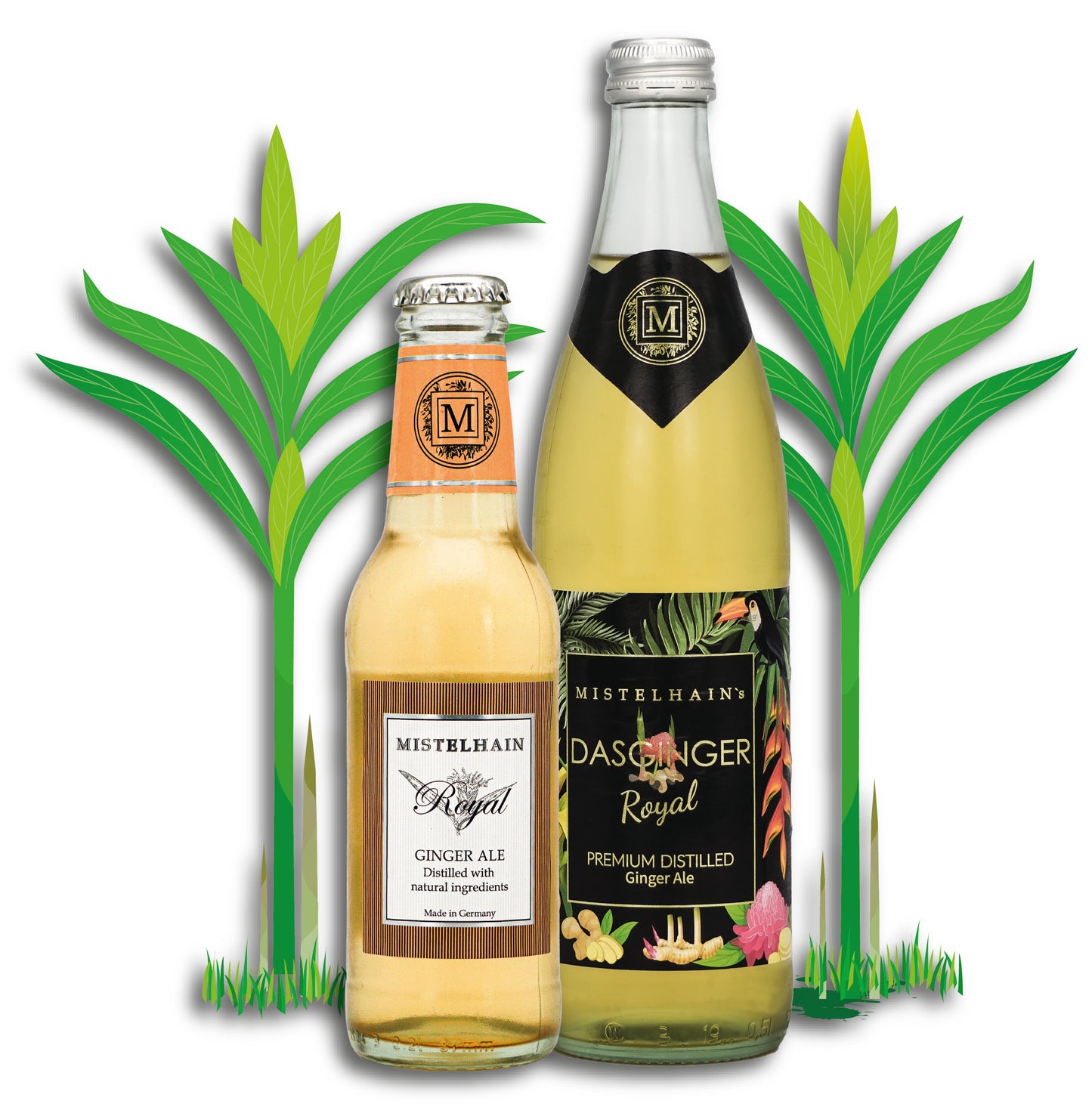 ROYAL GINGER ALE 200 / 500 ML