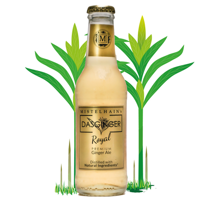 Ginger Ale Bersteinfarbe in einer 200 ml Glasflasche mit goldenem Etikett und Kronenkorken. Im Hintergrund sind die Ingwer- und Galgantpflanze zu sehen.